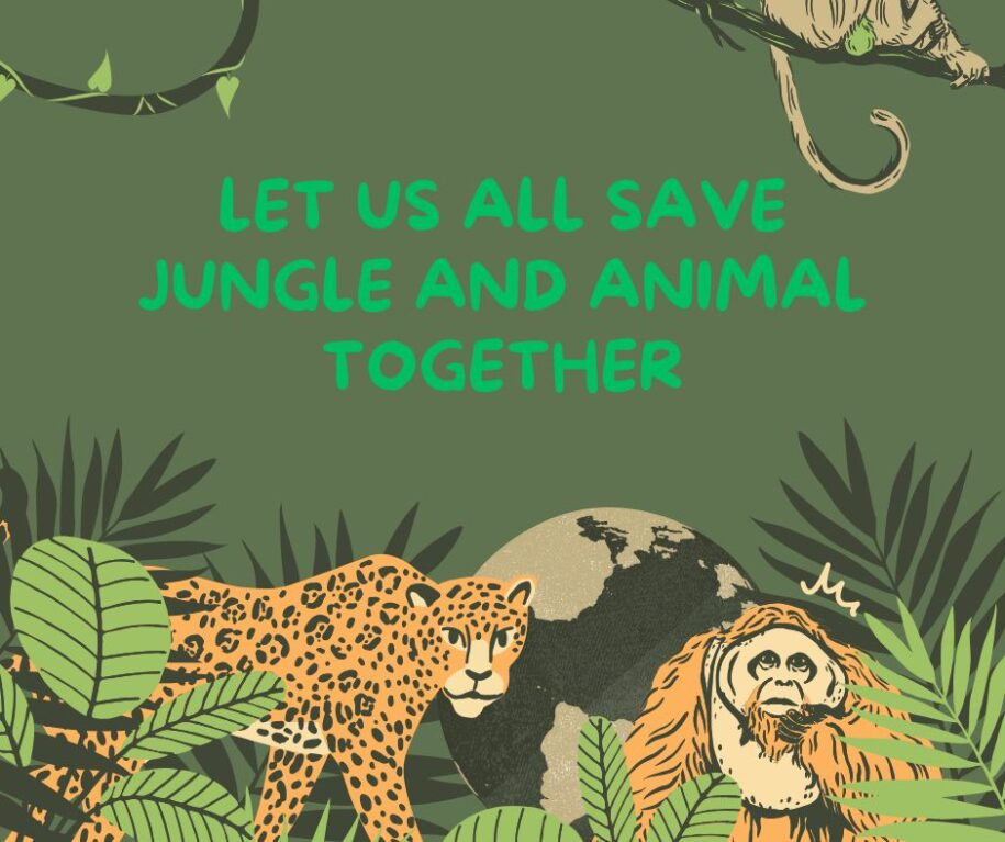 Saving Wild Animals